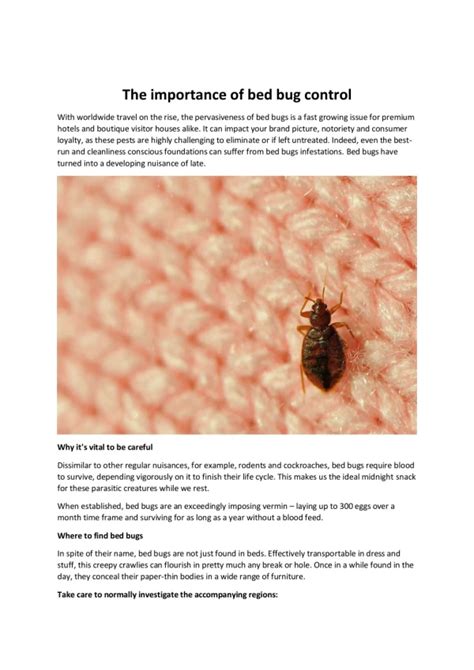 Ppt The Different Types Of Bed Bug Control Methods In Dubai Which