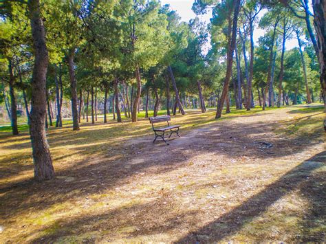 el cabezo zaragoza españa Country roads Tree Sidewalk