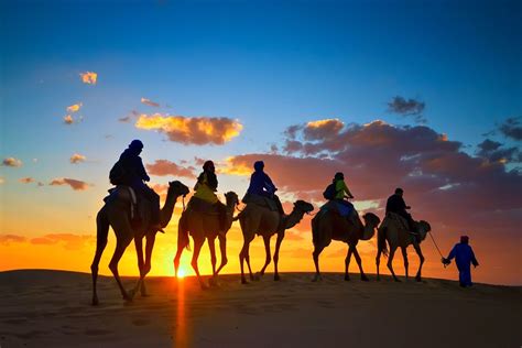 Download Camel Desert Photography Caravan Hd Wallpaper