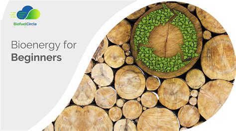 bioenergy  beginners