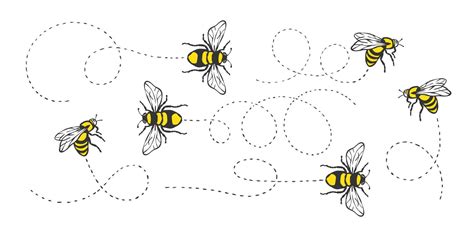 Bee Flying Bee Flying On A Dotted Route Hand Drawn Bees Vector