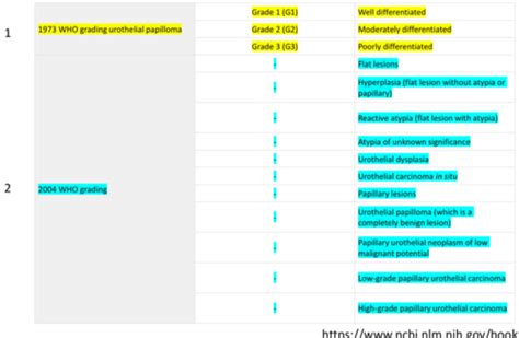 Red Flag 2ww Urology Referrals Flashcards Quizlet