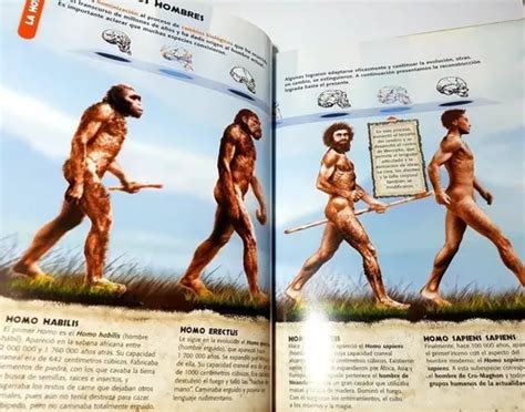 Libro Un Viaje Al Fascinante Mundo De La Prehistoria Nuevo En Venta En