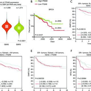 ITGA8 Expression Was Correlated With Survival Rate In ER Positive