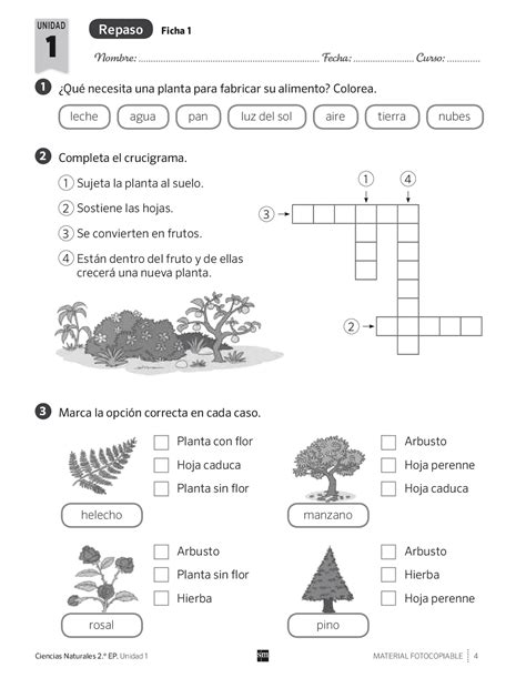 Examen De Ciencias Naturales 3 De Primaria Image To U