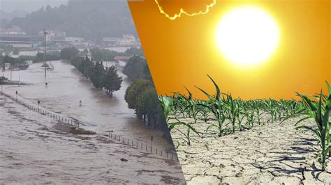 Dalle Alluvioni Al Caldo Estremo La Crisi Climatica Distrugge Le