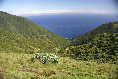 Sobre O Plano Cartesiano Julgue As Afirmativas A Seguir