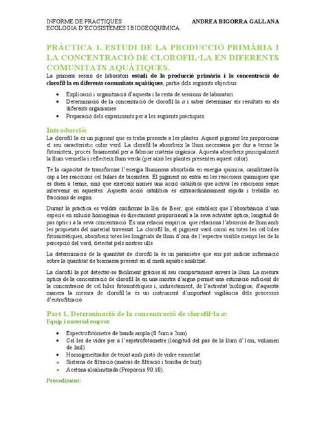 Informe Pràctiques 1 Pdf