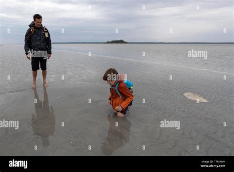 Quicksand Sinking Telegraph