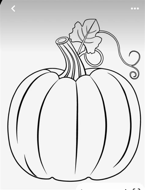 Pin By Timothy Mickel On Embroidery In 2024 Pumpkin Drawing Vine