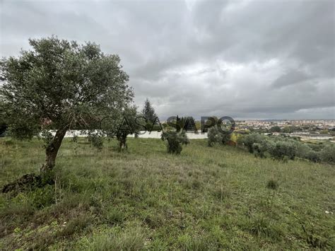 Terreno Venda Em Tomar S O Jo O Baptista E Santa Maria Dos