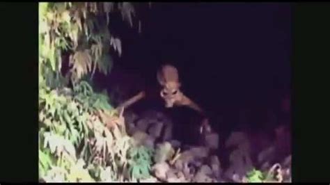 Ghostly Sightings And Creepy Creatures Caught On Camera (12 pics)