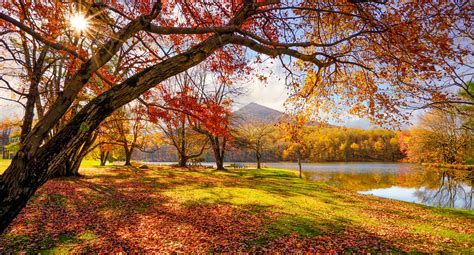 Peaks Of Otter Autumn Peter Roos Flickr