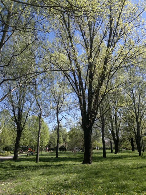 Parco Robert Baden Powell Comune Di Reggio Nell Emilia Flickr