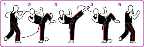 physical-arts.com -training - roundhouse kick (right stance)