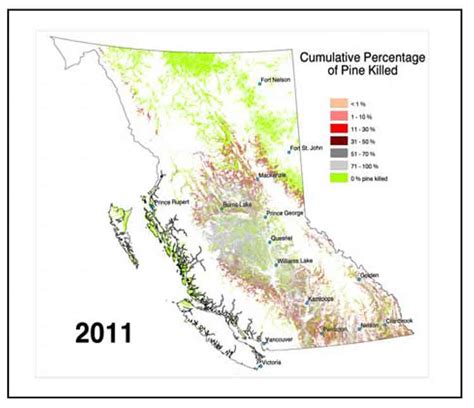 mountain pine beetle | Northwest Coast Energy News