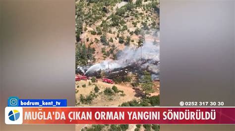 MUĞLA DA ÇIKAN ORMAN YANGINI SÖNDÜRÜLDÜ YouTube