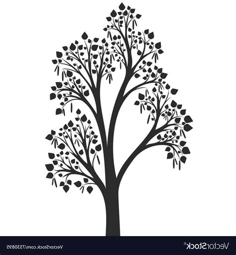 Birch Tree Silhouette Vector at Vectorified.com | Collection of Birch ...