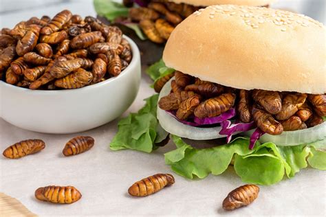 Insects as food vs feed to better combat global warming - All About Feed