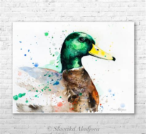 Mallard Duck Watercolor Painting Print By Slaveika Aladjova