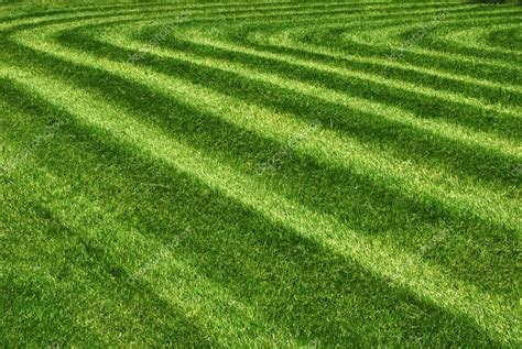 Mowed grass — Stock Photo © varbenov1 #10978235