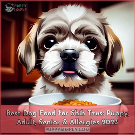 Best Dog Food For Shih Tzus Puppy Adult Senior And Allergies 2023