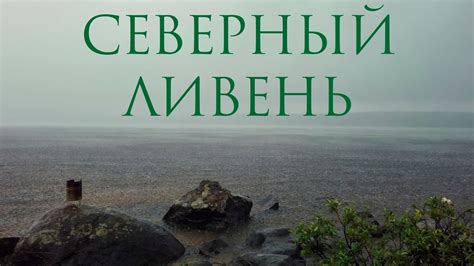 Северный ливень.Прячемся с Барсиком в палатке Берег Спутник-3.Ловим ...