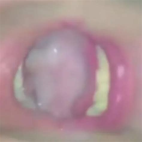 Tranny Cumshot Compil Shemale Compilation Porn Feat Livia Corell XHamster