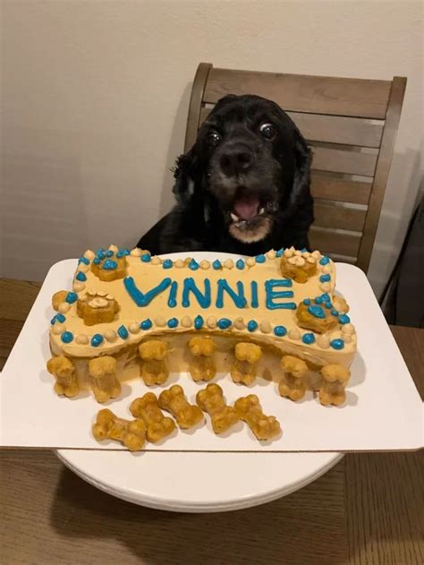 Dog Bone Cake! Pumpkin cake with a peanut butter frosting and homemade dog biscuits 🐶 : Baking ...