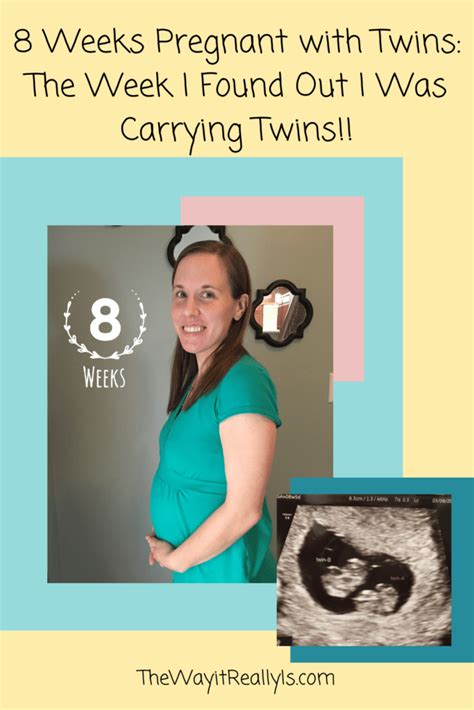 Identical Twins In The Womb At 8 Weeks