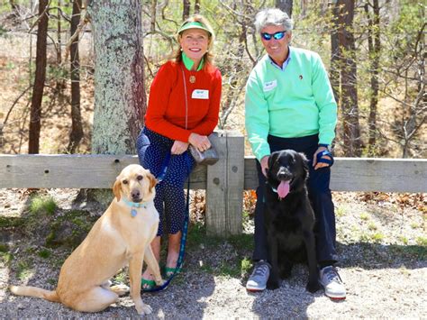 Arf Hamptons Compassionate Animal Rescue Haven This Week In Libraries