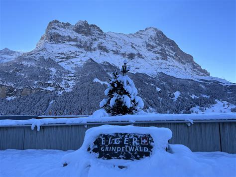 Trains Waiting At Grindelwald Station In Switzerland 1034m In