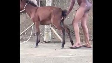 Man Fuck Donkey Vagina Xvedio Biz