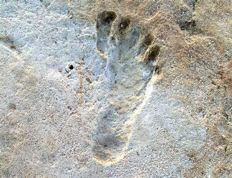 Ancient Footprints Suggest Humans Arrived In Americas During Ice Age