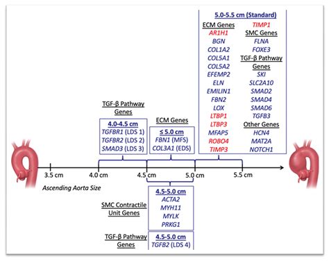 Cardiogenetics Free Full Text From Natural History To Contemporary