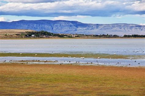 Lago Argentino In El Calafate Patagonia Argentina Stock Image Image