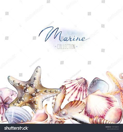 Watercolor Set Underwater Life Objects Handdrawn Stock Illustration