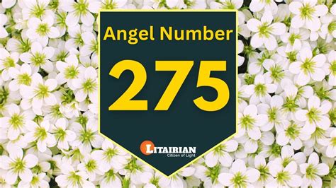 Angel Number 275 A Divine Message of Hope and Guidance
