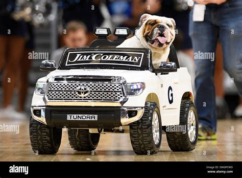 Georgetown Mascot Jack The Bulldog Rides In A Toy Car On The Court