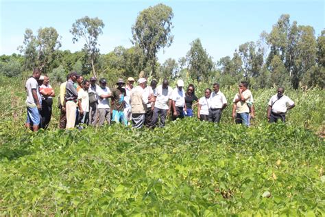 Gsdm Professionnels De L Agro Cologie Echos Sur Les Journ Es