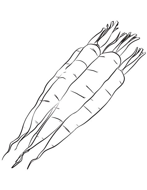 Carrots Coloring Page Colouringpages