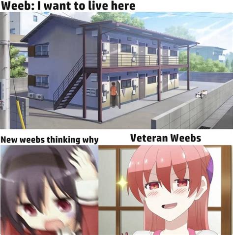 If you know you know : r/animememes