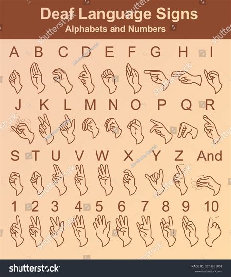 5,195 Sign language guide 图片、库存照片和矢量图 | Shutterstock