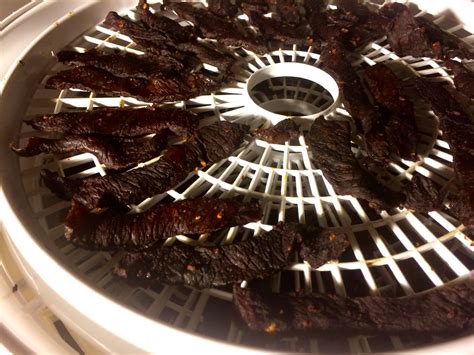 Jerky in Oven Vs Dehydrator - Which is Best?