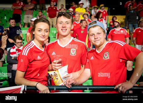 Welsh Football Fans Hi Res Stock Photography And Images Alamy