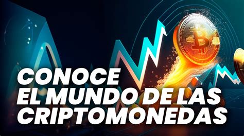 las CRIPTOMONEDAS te HARÁN ganar MUCHO DINERO ESTE AÑO YouTube