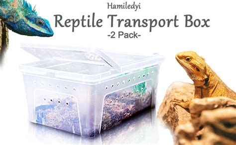 Amazon Hamiledyi Reptile Breeding Box Set Portable Gecko Feeding