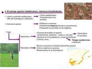 Tema Los Dominios Y Paisajes Agrarios Ppt