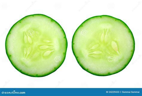 Fresh Cucumber Slice Stock Image Image Of Isolated Cross