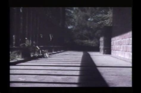 Ebony And Ivory Lesbian Fun From Hot School Reunion A By Lipstik HotMovies